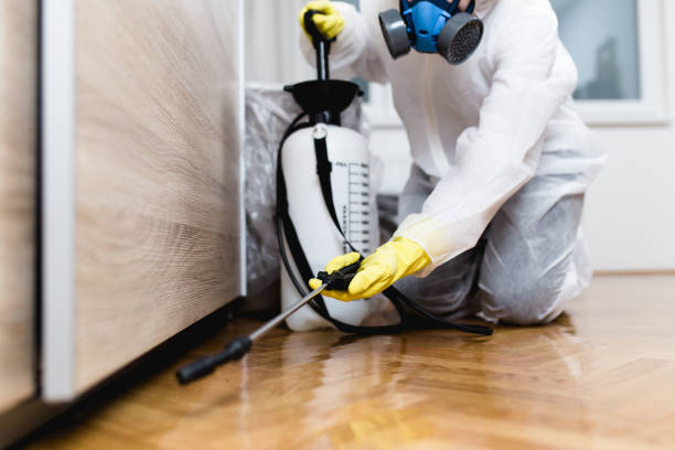 Best Affordable Pest Control Services  in Minier, IL
