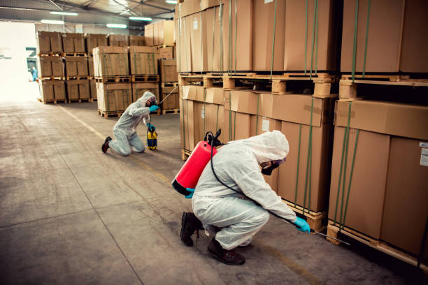 Best Pest Prevention Services  in Minier, IL