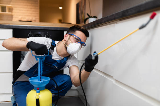 Best Emergency Pest Control  in Minier, IL