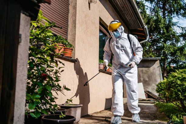 Best Rat Extermination Near Me  in Minier, IL