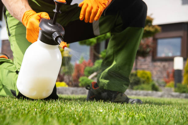 Best Local Pest Control Services  in Minier, IL