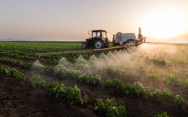Best Pest Inspection Near Me  in Minier, IL