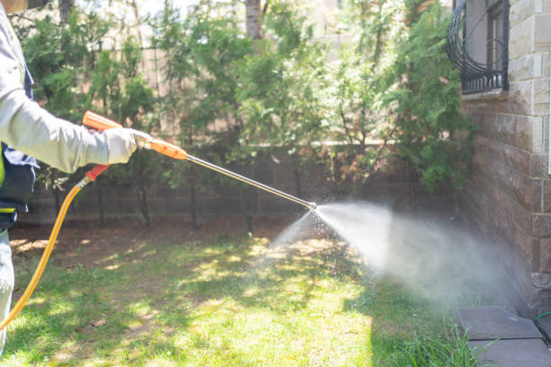 Best Bed Bug Extermination  in Minier, IL