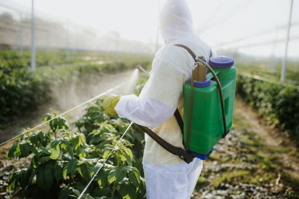 Best Pest Removal Services  in Minier, IL